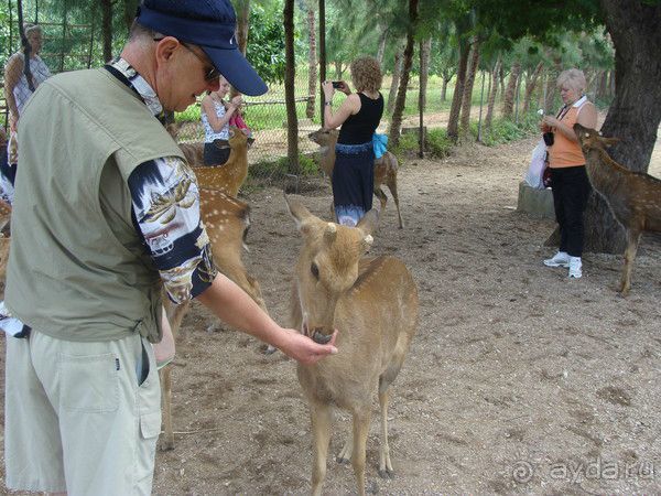 Отдых во Вьетнаме февраль 2012