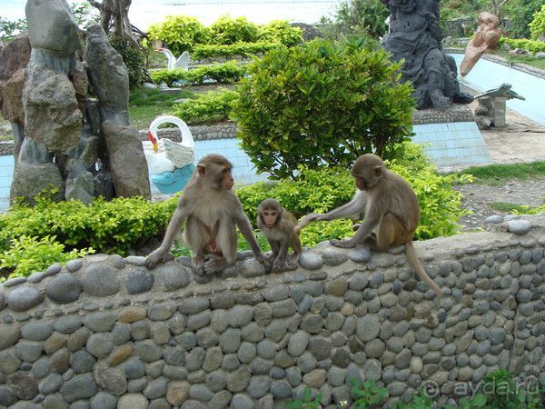 Отдых во Вьетнаме февраль 2012