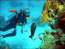 Дикий восторг от моря!