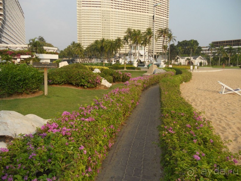 не думайте о быте , летите и отдыхайте