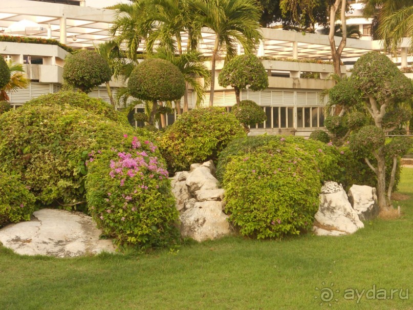 не думайте о быте , летите и отдыхайте