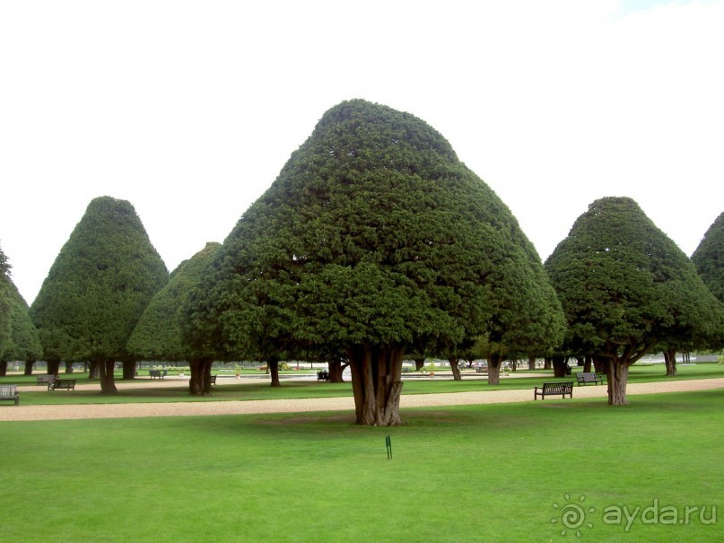 Хэмптон Корт Палас — резиденция Тюдоров