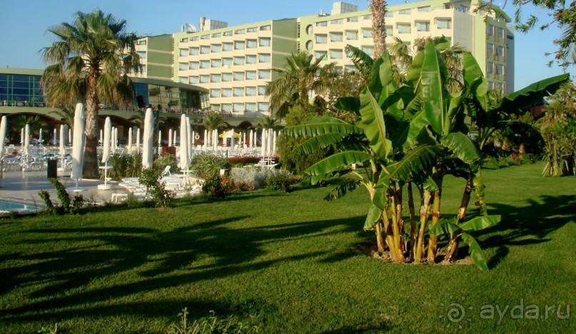 фото Boat Lagoon Resort