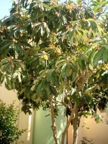 Уютно и удобно.Рекомендую.