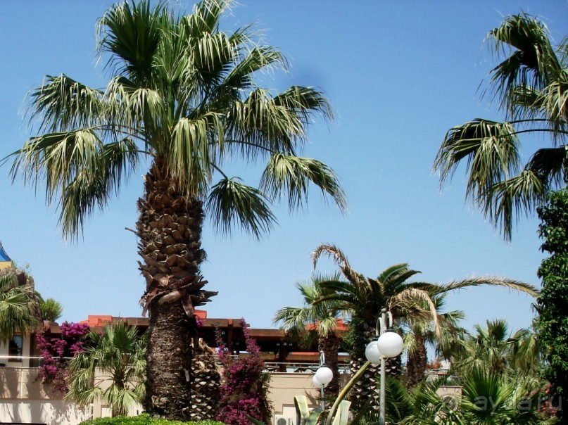 Уютно и удобно.Рекомендую.