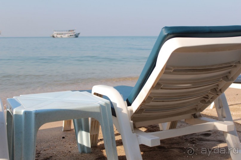 Отличный новый отель в Паттайе Brave Lion