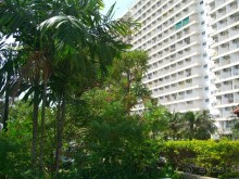 фото Jomtien Beach Condominium