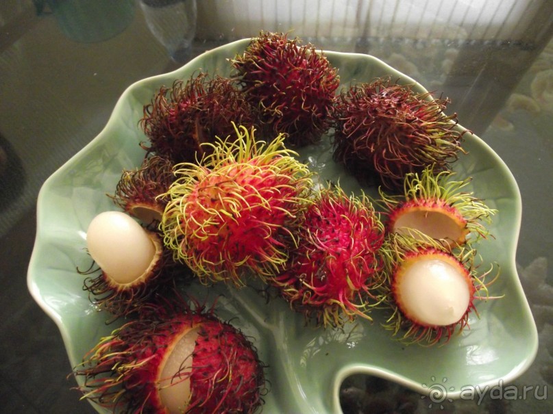 Отличный отдых!! ДЛЯ ЧАЙНИКОВ- БУДТЕ ВНИМАТЕЛЬНЫ, ЭТО НЕ ОТЕЛЬ, А КВАРТИРЫ, КОТОРЫЕ ВЫ АРЕНДУЕТЕ!!!!