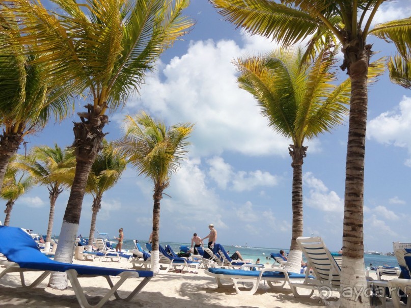 Сказка на другом конце света