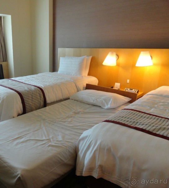 незабываемые впечатления от азиатского мегаполиса