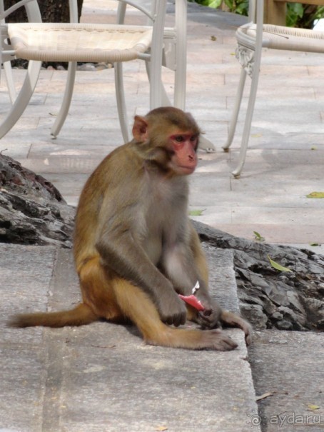 Путешествие на остров Хайнань, Китай