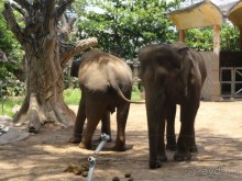 Сайгон - Муй Не. Гостеприимный Вьетнам.