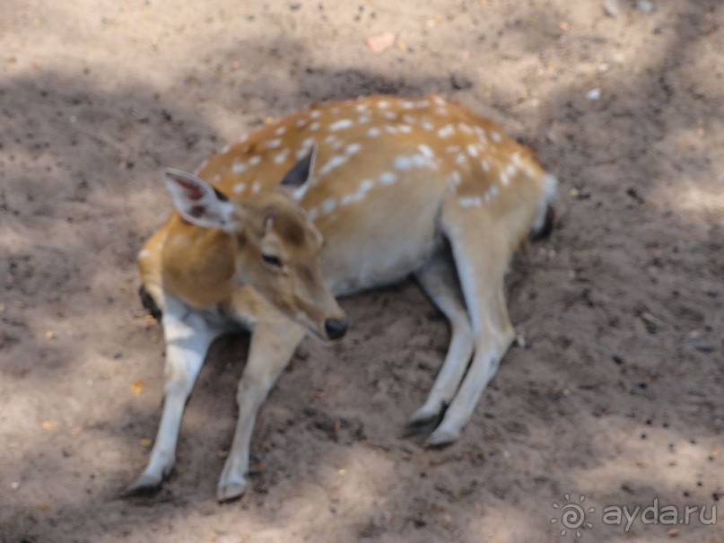 Сайгон - Муй Не. Гостеприимный Вьетнам.