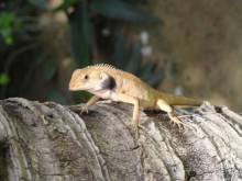 Сайгон - Муй Не. Гостеприимный Вьетнам.