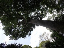 Сайгон - Муй Не. Гостеприимный Вьетнам.