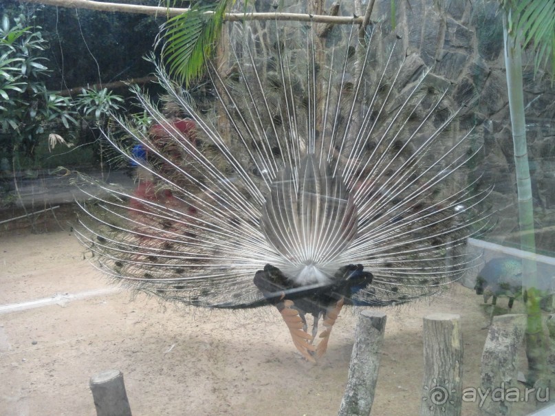 Сайгон - Муй Не. Гостеприимный Вьетнам.