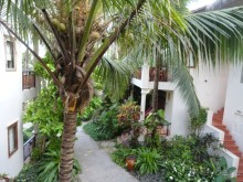 Весь по крытый зеленью...