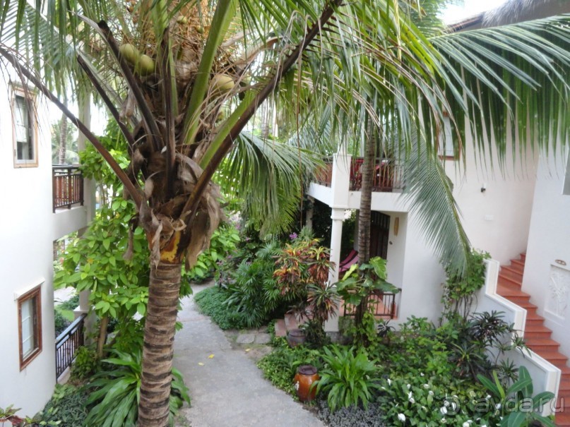 Весь по крытый зеленью...