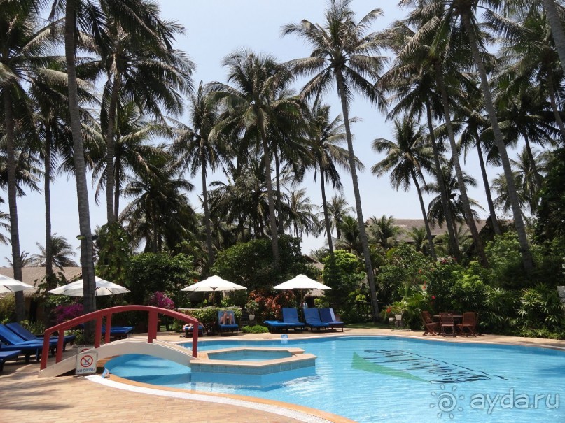 Весь по крытый зеленью...