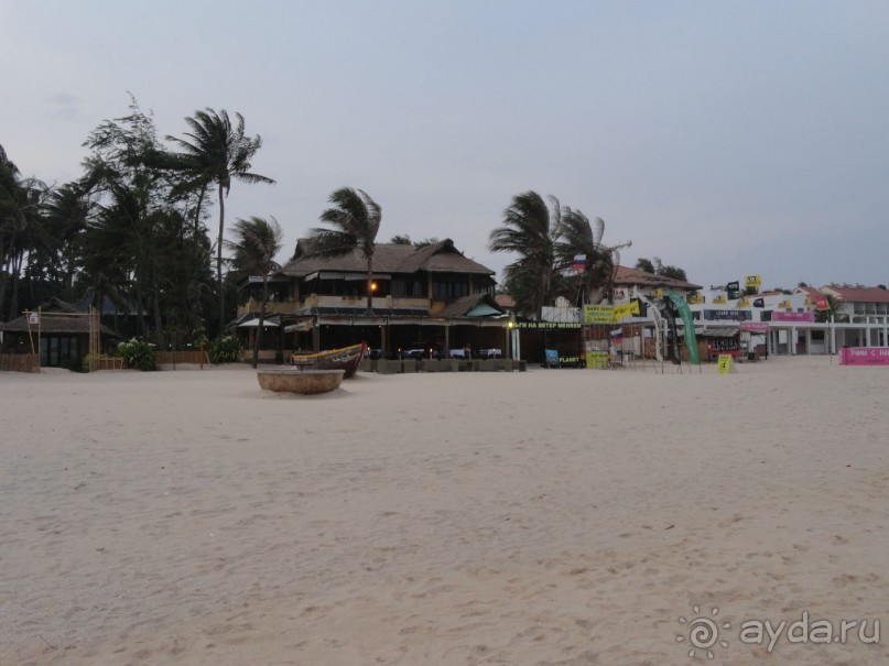 Весь по крытый зеленью...