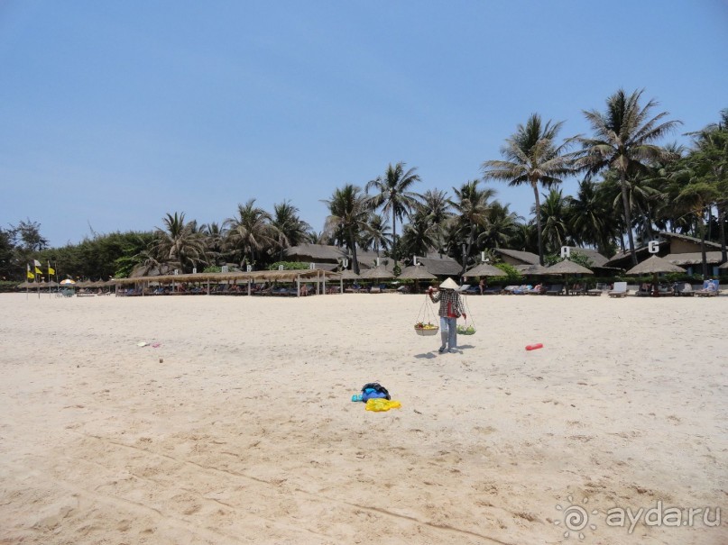 Весь по крытый зеленью...