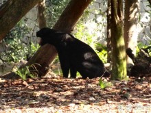 Сказка на другом конце света... Канкун. Мексика. 