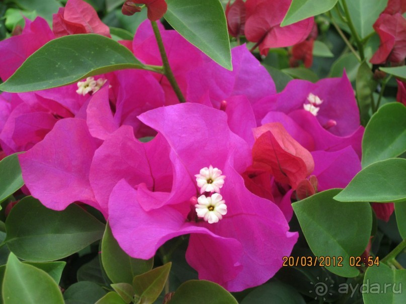 Сказка на другом конце света... Канкун. Мексика. 