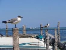 Сказка на другом конце света... Канкун. Мексика. 