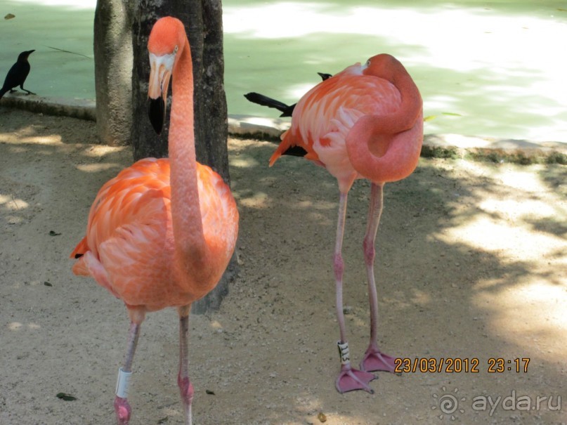 Сказка на другом конце света... Канкун. Мексика. 