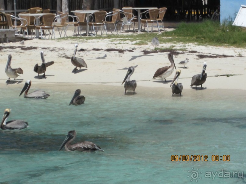 Сказка на другом конце света... Канкун. Мексика. 