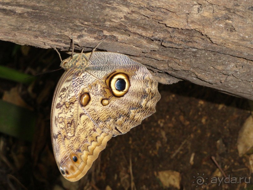 Сказка на другом конце света... Канкун. Мексика. 