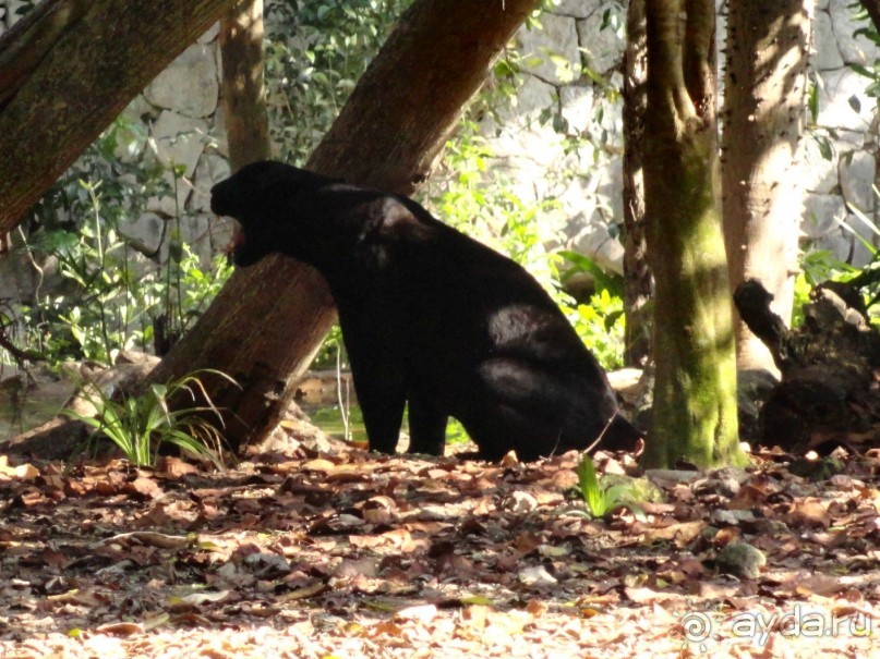 Сказка на другом конце света... Канкун. Мексика. 