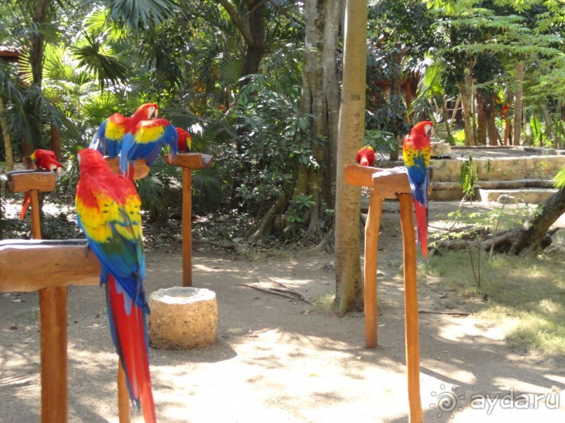 Сказка на другом конце света... Канкун. Мексика. 