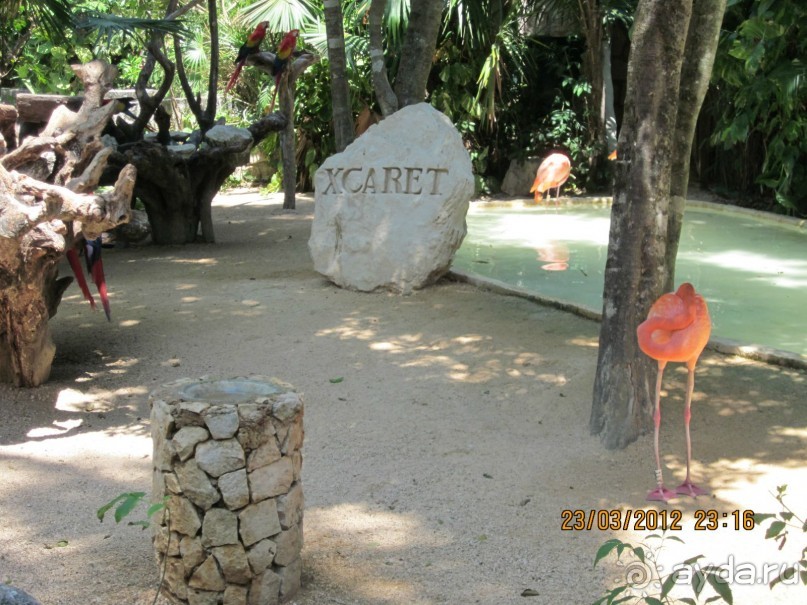 Сказка на другом конце света... Канкун. Мексика. 