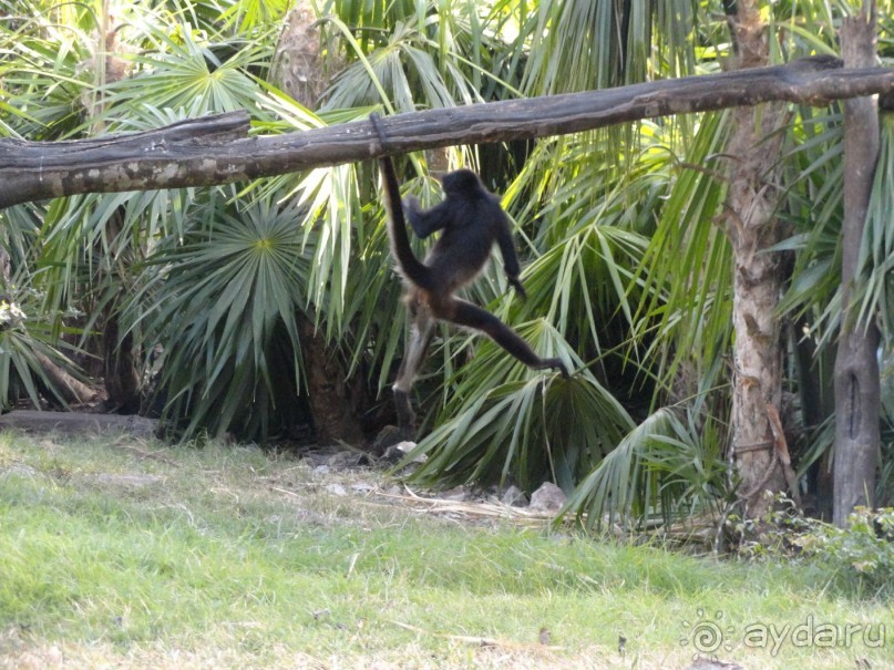 Сказка на другом конце света... Канкун. Мексика. 