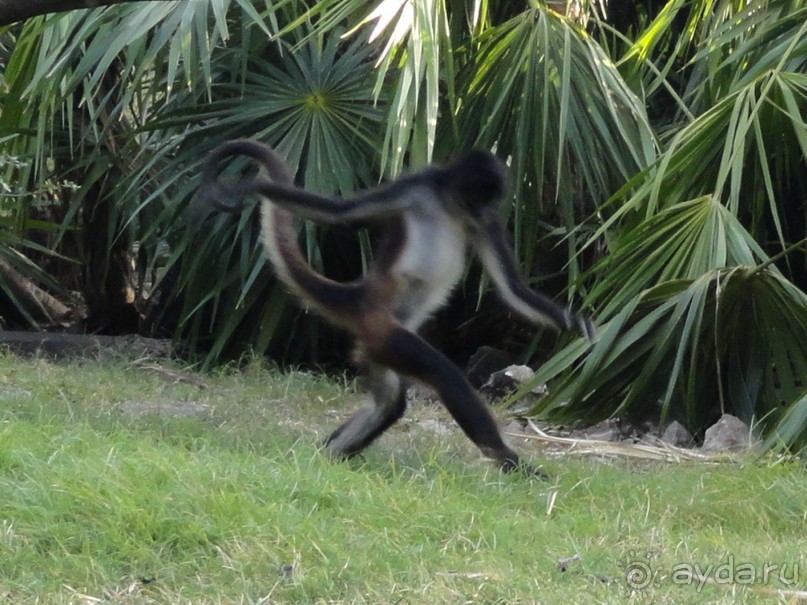 Сказка на другом конце света... Канкун. Мексика. 