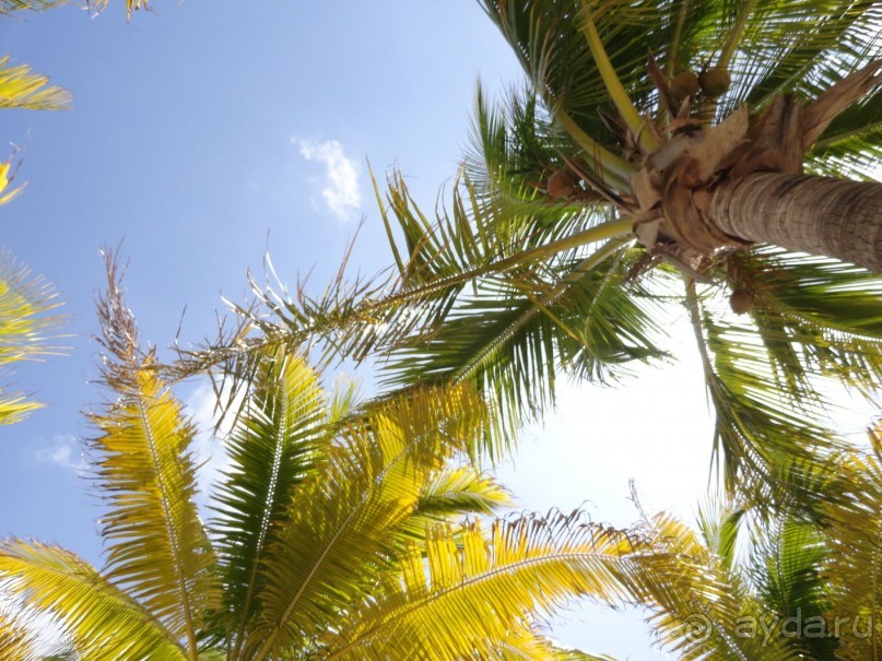 Сказка на другом конце света... Канкун. Мексика. 