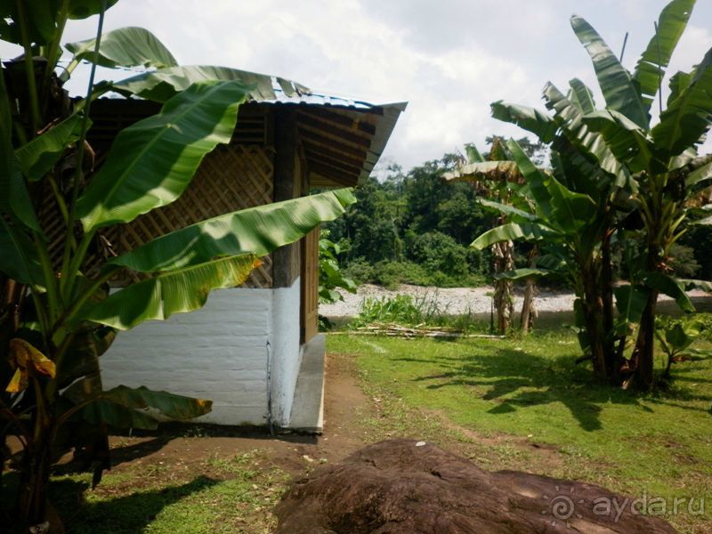 фото Banana Lodge