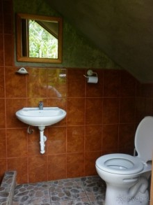 Джунгли на любой вкус - Мисауайи