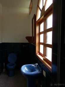 Джунгли на любой вкус - Мисауайи