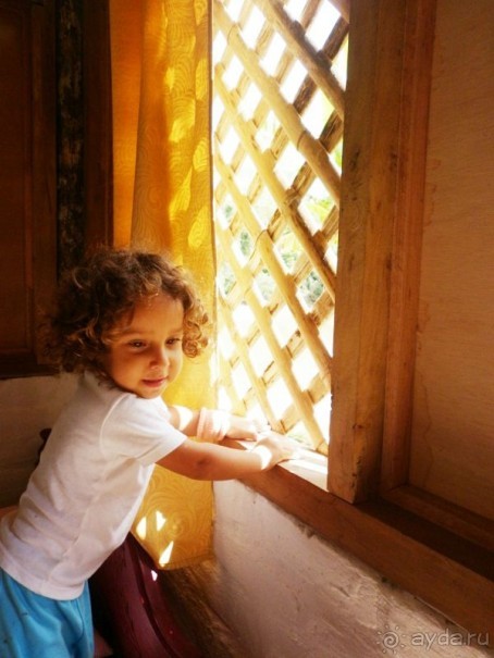 Джунгли на любой вкус - Мисауайи