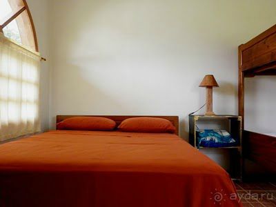 Джунгли на любой вкус - Мисауайи