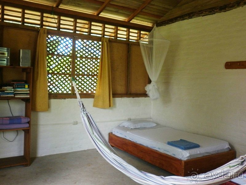 Джунгли на любой вкус - Мисауайи