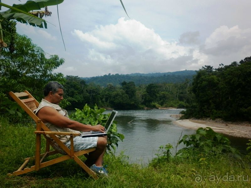 Джунгли на любой вкус - Мисауайи