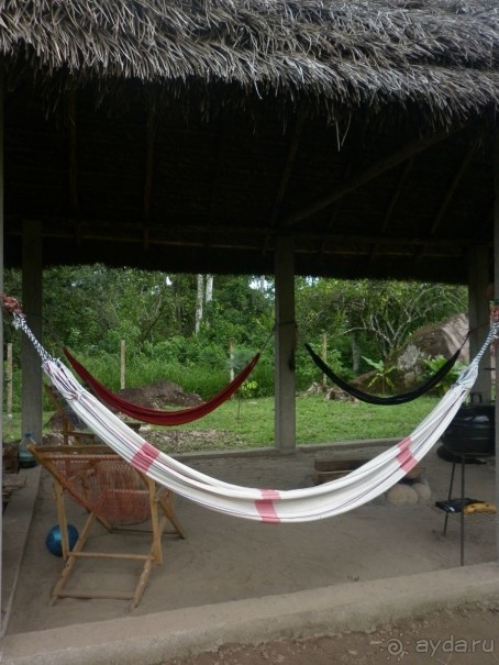 Джунгли на любой вкус - Мисауайи