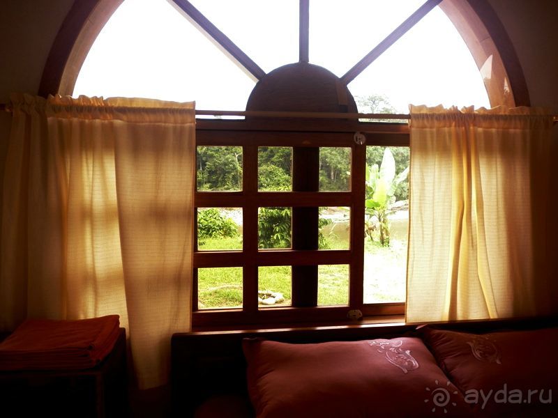 Джунгли на любой вкус - Мисауайи