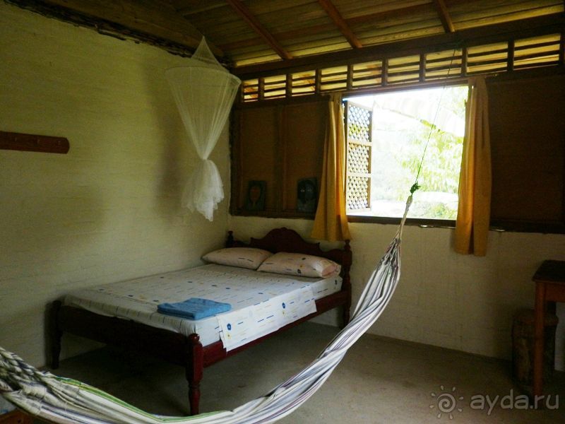 Джунгли на любой вкус - Мисауайи