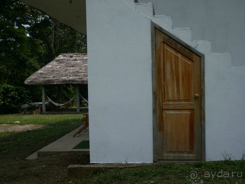 Джунгли на любой вкус - Мисауайи