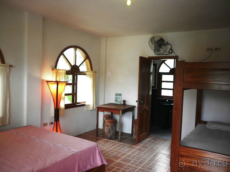 Джунгли на любой вкус - Мисауайи