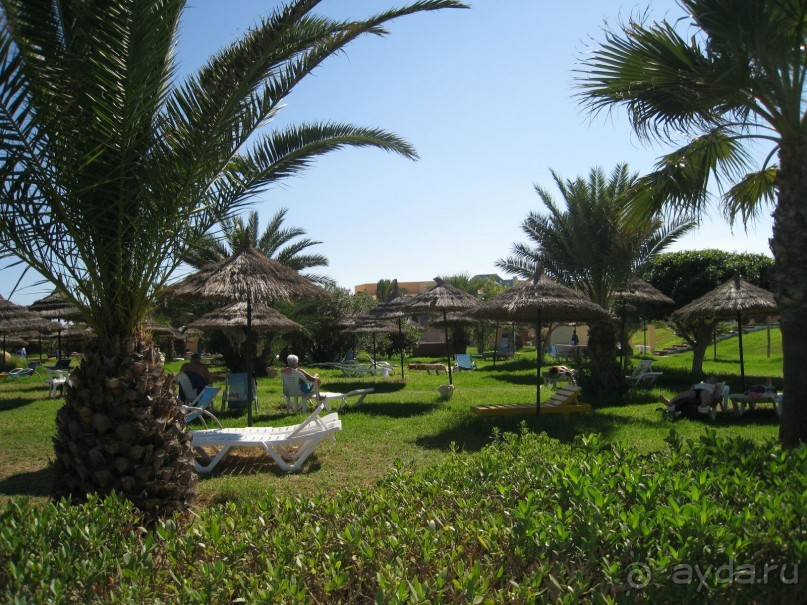 Чудесный отдых в прекрасном отеле и в замечательной стране!